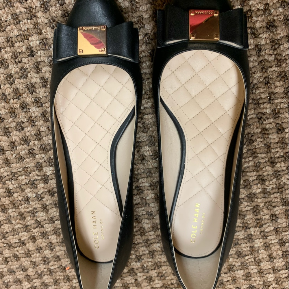 Cole Haan Ballet pointed toe shoe